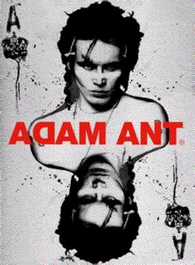 adam ant lyrics  chords  easy guitar
