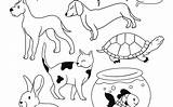 Pet sketch template