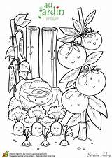 Coloring Plantation Pages Fruits Jardinage Coloriage Vegetables Garden Végétal Orto Template Books Adult Maternelle Kids Et Au Sciences Colorier Templates sketch template