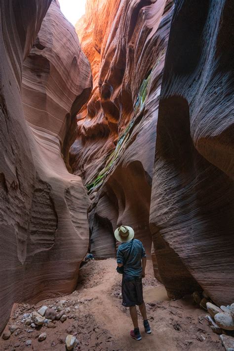 hikes  utah  epic trails   bucketlist mapped