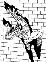Spiderman Pages Coloring Colouring Crawling Wall Drawing Print Coloringsun Color Popular sketch template
