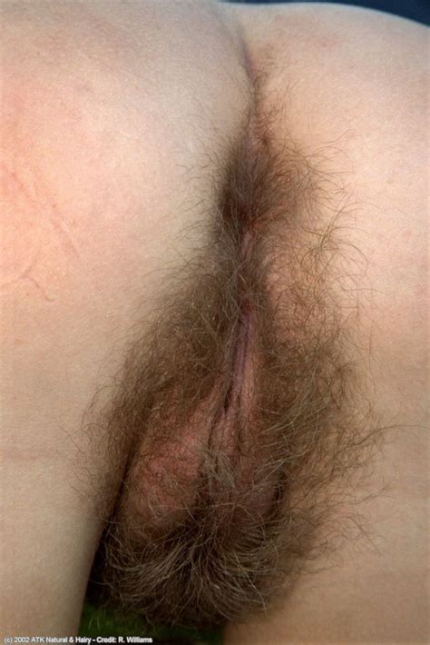 hairy pussy asshole 139982 unshaven pussy and hairy asshol