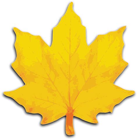 Leaf Fall Leaves Clip Art Beautiful Autumn Clipart Clipartix