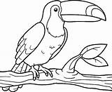 Toucan Tukan Sud Amerique Tucano Oiseau Kolorowanki Tucan Mosaico Mario Resultado Selvagens Acessar Fartsy Artsy sketch template