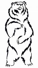 Bear Tattoo Tribal Grizzly Outline Drawing Designs Askideas Tattoos sketch template