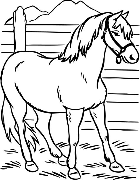 horse coloring pages preschool  kindergarten