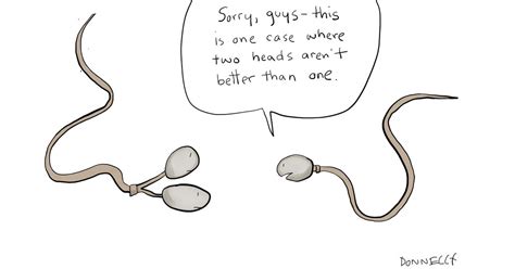 Opinion Are Your Sperm In Trouble The New York Times