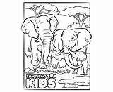 Diego Elephants Sandiegozoo Padres Watering sketch template