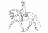 Pferde Dressur Friesian Dressage Orig07 Lineart sketch template