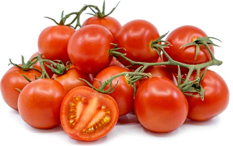 campari tomatoes information recipes  facts