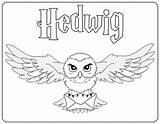 Hedwig sketch template