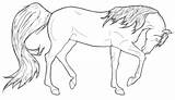 Arabian Andalusian Stallion Micron Pen Rachaelm5 sketch template