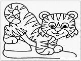 Tiger Coloring Mewarnai Harimau Lion Gambar Lucu Kartun Tigers Anak Mewarnaigambar Wallpapertip Lembar Shark Semua sketch template