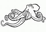 Tintenfisch Oktopus Ausmalbilder Ausmalbild Letzte Seite sketch template