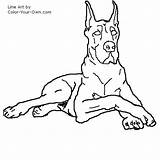 Dane Great Dog Color Coloring Drawings Line Pages Danes Drawing Stencil Animal Quilts Printable Dogs Kids Own Colouring Sheets Sketches sketch template