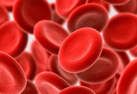 hemoglobin levels  hemoglobin  hemoglobin ac