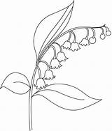 Flower Bellflower Drawing Coloring Beautiful Pages Outline Easy Realistic Kids Visit Drawings Embroidery Bestcoloringpages sketch template