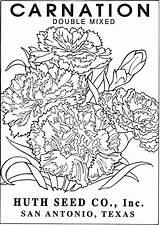 Coloring Seed Pages Packets Flower Vintage Dover Publications Doverpublications sketch template