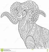 Goat Pages Adult Coloring Ram Template Aries Zodiac Capricorn sketch template