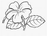 Bunga Pokok Mewarna Raya Mewarnai sketch template