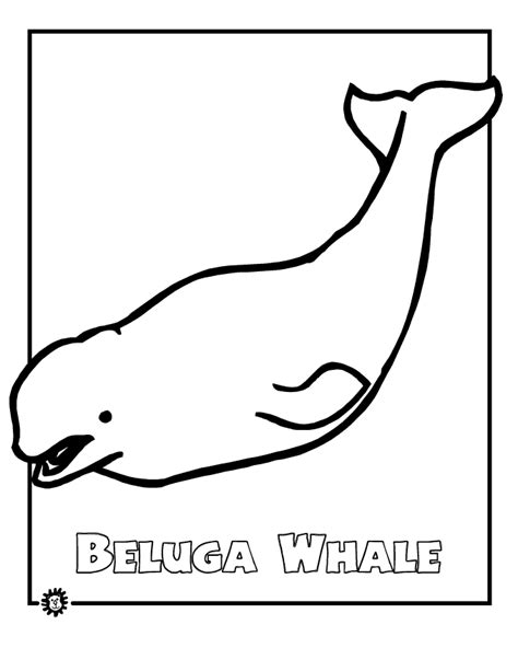 beluga whale coloring page animals town animals color sheet