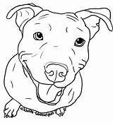 Pitbull Drawing Face Dog Bull Clipart Clip Pit Coloring Stencil Line Puppy Silhouette Tattoo Drawings Easy Pages Outline Sketch Terrier sketch template