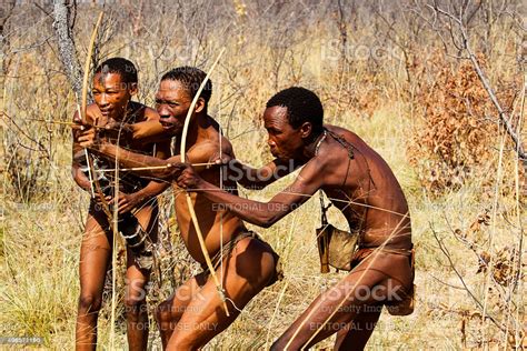 San Bushmen Hunters In The African Bush Namibia Stock