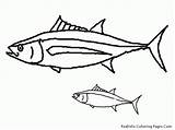 Tuna Angler Getcolorings Colouring Deep Coloringhome sketch template