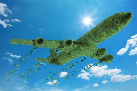 ensuring  sustainable future  aviation  global