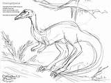 Coelophysis Dinosaur Sheets Coloring Zoom sketch template