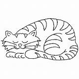 Sleeping Cat Coloring Pages Sketch June Getdrawings Getcolorings Printable Popular Color sketch template