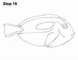 Tang Blue Fish Draw Regal Drawing Royal How2drawanimals sketch template