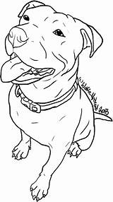 Pitbull Coloring Pages Dog Pit Bull Line Outline Drawing Clipart Realistic Stencil Getcolorings Dogs Carving Staffy Printable Stencils Pitbulls Staffordshire sketch template