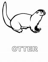 Otter Coloring Pages Sea Popular Coloringhome Categories Similar Printable sketch template