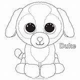 Beanie Coloring Boos Pages Puppy Duke Xcolorings 880px 65k Resolution Info Type  Size Jpeg Printable sketch template