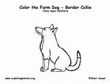 Coloring Dog sketch template