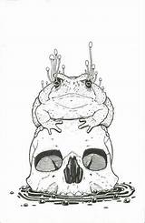 Frogs Frosch Toad Coloring Bleistift Zeichnung Weheartit Stuntkid sketch template