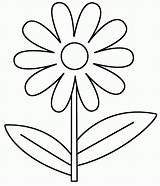 Coloring Spring Flowers Pages Printable Flower Library Clipart Daisy sketch template