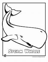 Whale Sperm Coloring Endangered Animal Pages Animals Ocean Kids Gif Online Printable Color Clipart Use Printer Send Button Special Print sketch template