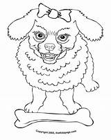 Coloring Poodle Protecting sketch template