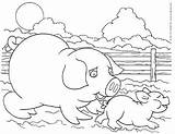 Pig Coloring Piglet Kinderart Line Drawing Pdf Print Size Getdrawings sketch template