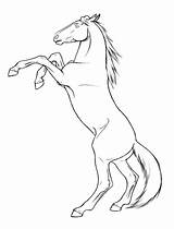 Coloring Pages Realistic Horse Printable Getcolorings Horses sketch template
