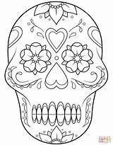 Coloring Pages Sugar Skull Simple Skulls Getcolorings Col Cool Color sketch template