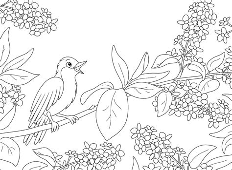 summer coloring pages flowers