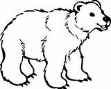 Beruang Mewarnai Binatang Sketsa sketch template