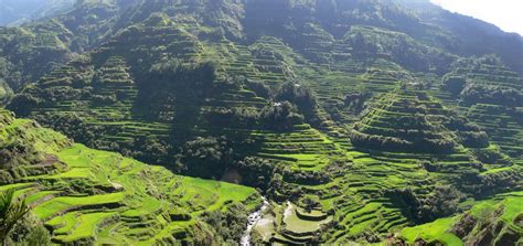 Exploring The Magnificence Of Banaue Rice Terraces In The