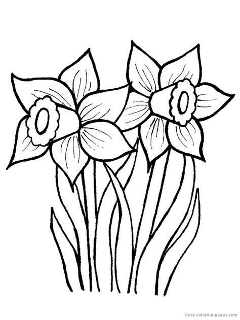 spring flowers  coloring pages  coloring pages  az
