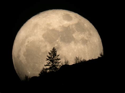 supermoon alert biggest full moon   occurs  week space