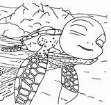 Sammy Colorare Avventure Dorme Shelly Tartaruga Adesivi Altro Fotolibri Easyprint sketch template