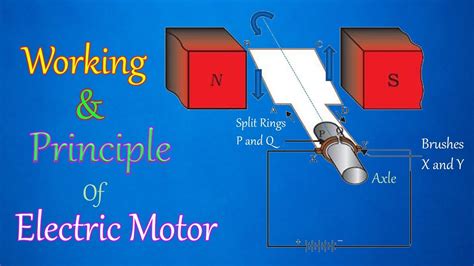 electric motor working principle  full detail physics edustudy youtube